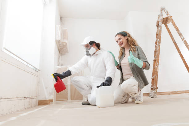 Best Emergency Mold Remediation  in USA